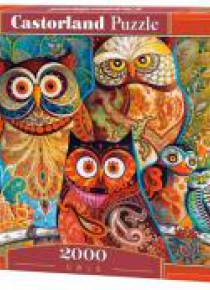 Puzzle 2000 Sowy CASTOR