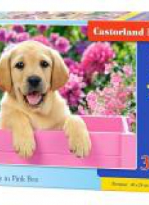 Puzzle 300 Szczenię Labrador w róż. pudle CASTOR