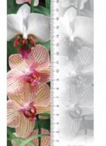 Zakładka 3D Orchidea