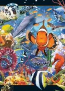 Magnes 3D Ocean