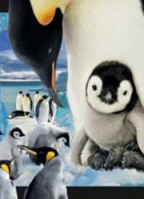 Magnes 3D Pingwin