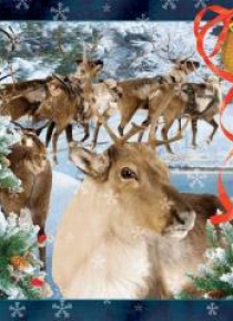 Pocztówka 3D Rudolf