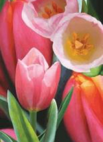 Mini kartka 3D Tulipan