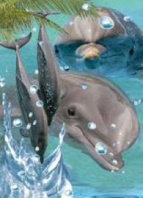 Mini kartka 3D Delfin