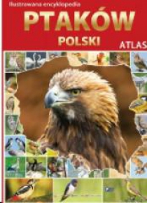 Atlas. Ilustrowana Encyklopedia ptaków Polski
