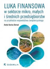 Luka finansowa w sektorze mikro, małych
