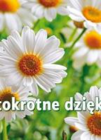 Perełka 263 Stokrotne dzięki!