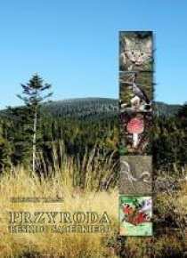 Przyroda Beskidu Sądeckiego TW