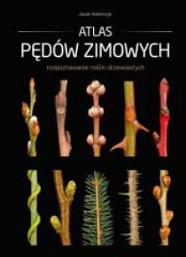 Atlas pędów zimowych