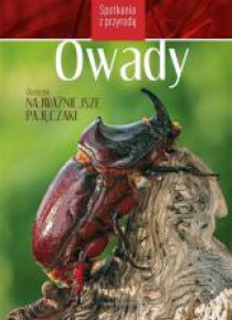 Spotkania z przyrodą. Owady