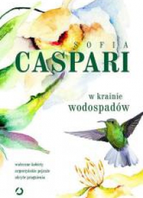 W krainie wodospadów