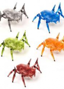 Hexbug Skarabeusz