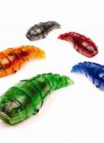 Hexbug Larwa