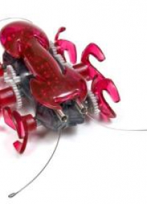 Hexbug Mrówka