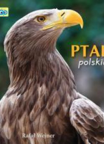 Poznajemy zwierzęta. Ptaki polskie LIWONA