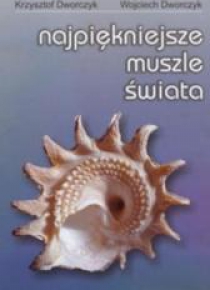 Najpiękniejsze muszle świata