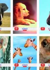 Zeszyt A5/32K linia Animals mix (10szt)