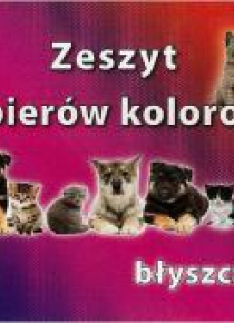 Zeszyt papierów kolorowych A5 błyszczących