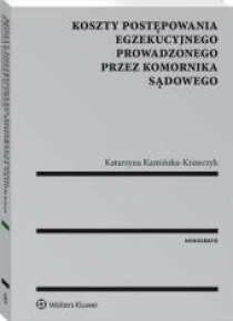 Koszty postępowania egzekucyjnego ...