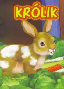 Królik JAFI