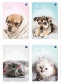 Zeszyt A5/32K kolorowa linia Puppy Sign MIX(10szt)