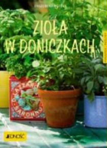 Zioła w doniczkach