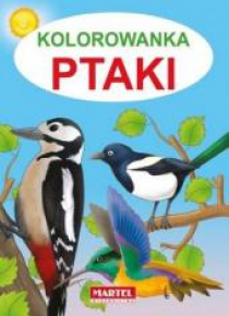 Kolorowanka Ptaki