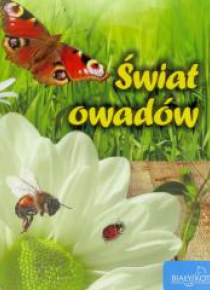 Świat owadów