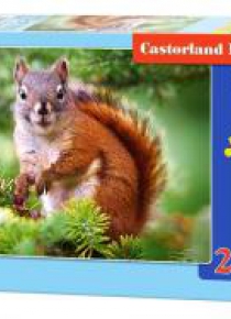 Puzzle 260 Pine Squirrel CASTOR