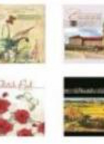 Album do rysowania A4/20K FRESH