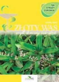 Złoty Wąs czyli domowy Żeń-Szeń
