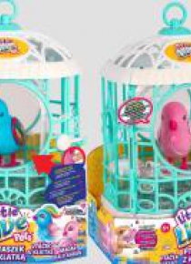 Little Live Pets. Ptaszek z klatką różne rodzaje