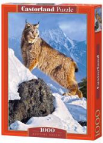 Puzzle 1000 Austere Ascent CASTOR