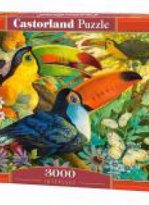 Puzzle 3000 Interlude CASTOR