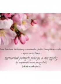 Magnes na lodówkę - Jestem Bowiem świadomy Jabłoń
