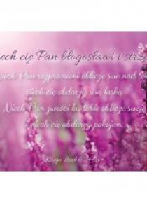 Magnes na lodówkę - Niech Ci błogosławi ŁĄKA