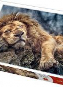 Puzzle 1000 Śpiący lew TREFL