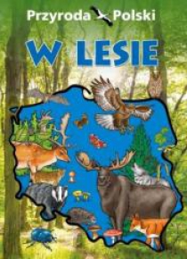 Przyroda Polski. W lesie