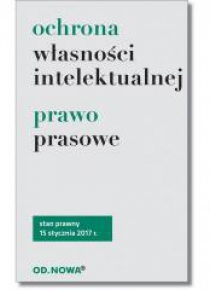 Ochrona własności intelektualnej. Prawo prasowe BR