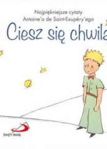 Mały Książę 9 - Ciesz się chwilą