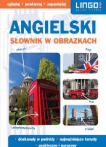 Słownik w obrazkach. Angielski