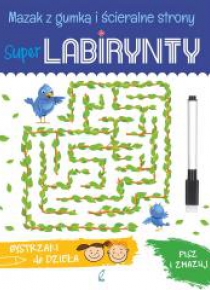 Super Labirynty. Bystrzaki do dzieła