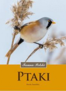 Ptaki. Fauna Polski