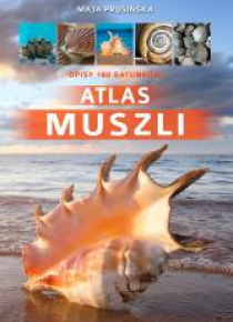 Atlas muszli