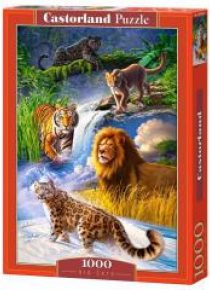 Puzzle 1000 Duży kot CASTOR