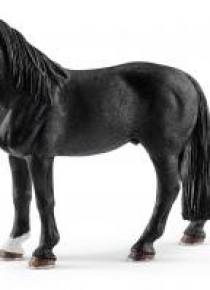 Wałach rasy Tennessee Walker