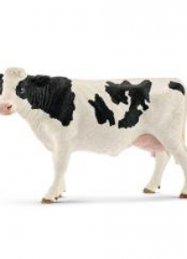 Krowa rasy Holstein