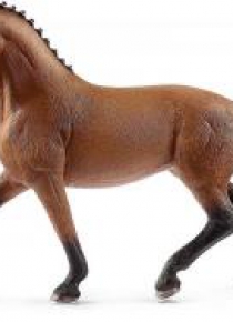 Klacz rasy Hanover