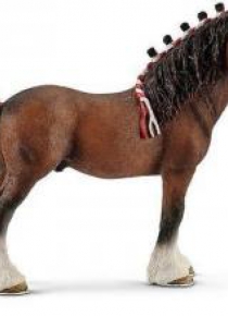 Wałach rasy Clydesdale