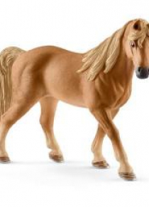 Klacz rasy Tennessee Walker